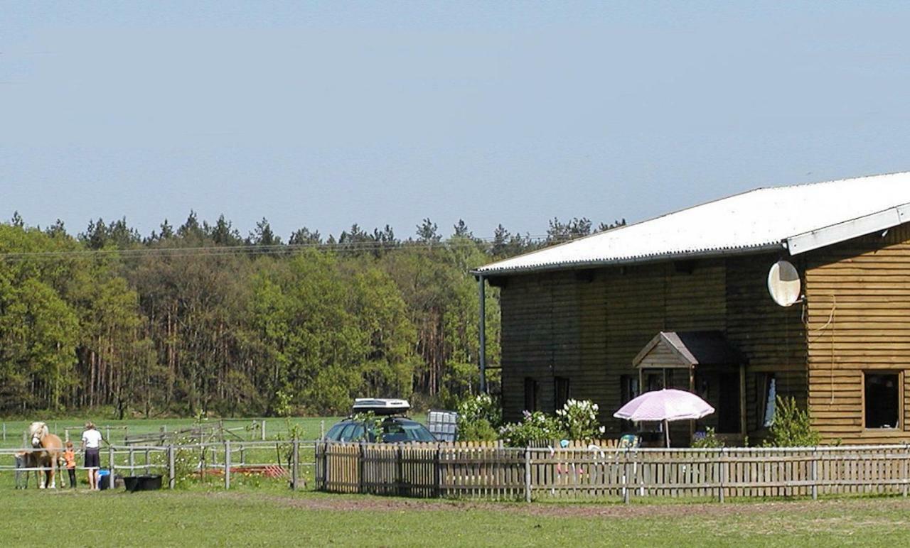 Haflingerhof Heed Kuhstorf Exterior foto
